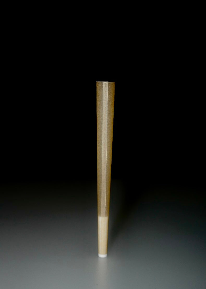 King-Size Paper Tip Cones Blank