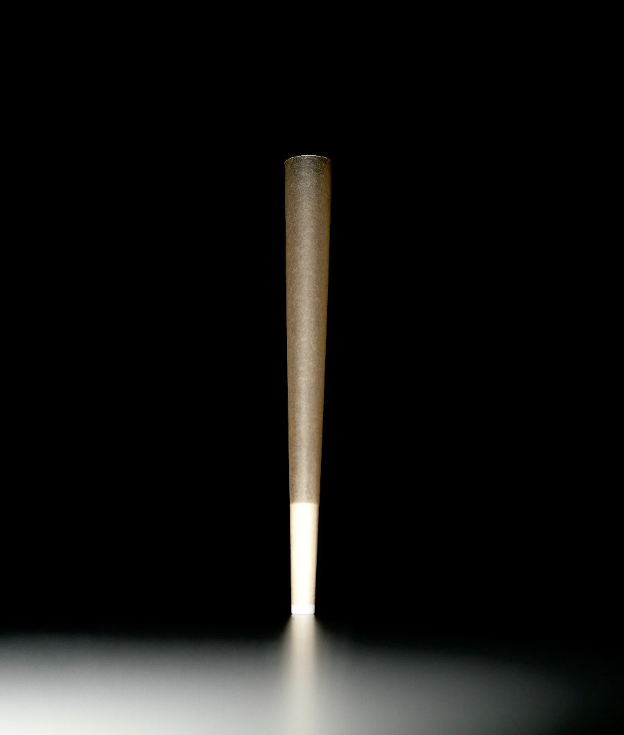 King-Size Paper Tip Cones Blank